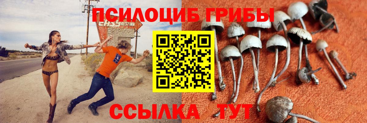 Галлюциногенные грибы Psilocybe  Галлюциногенные грибы Psilocybe  Хабаровск  Вход с VPN 