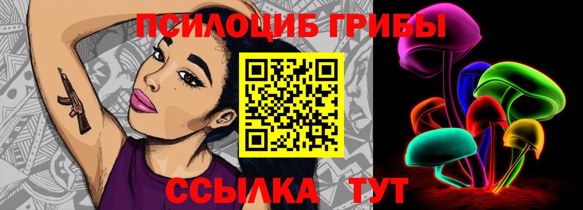 Псилоцибиновые грибы Psilocybine cubensis Хабаровск